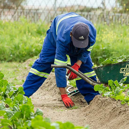 Irrigation & Drainage